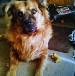 Meet your Posher, Allynn